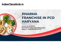 Pharma franchise in PCD Haryana