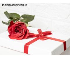 Buy Rose Day Gifts Online | Winni