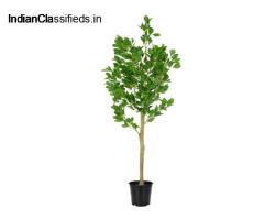 Shweta Enterprise - Artificial Plants & Grass