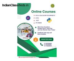 IT Certificate Course +  Remote Job !